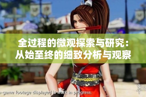 全过程的微观探索与研究：从始至终的细致分析与观察