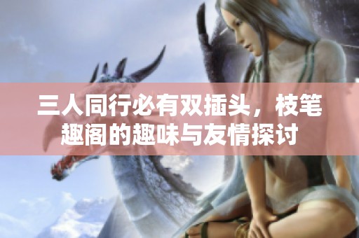 三人同行必有双插头，枝笔趣阁的趣味与友情探讨