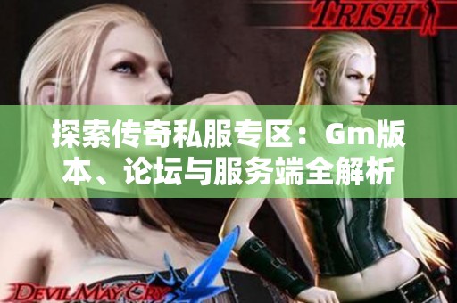 探索传奇私服专区：Gm版本、论坛与服务端全解析