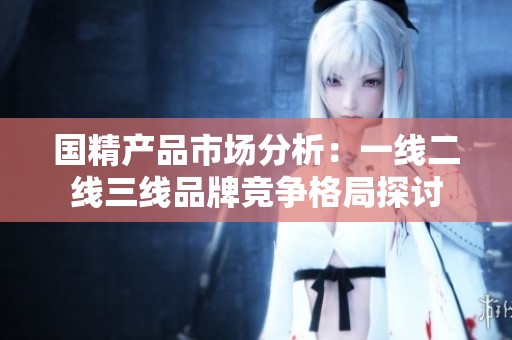 国精产品市场分析：一线二线三线品牌竞争格局探讨