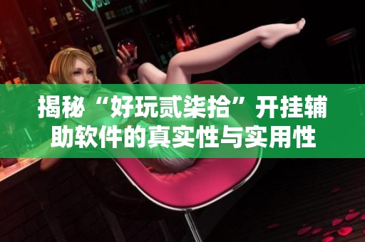 揭秘“好玩贰柒拾”开挂辅助软件的真实性与实用性
