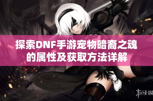 探索DNF手游宠物暗裔之魂的属性及获取方法详解