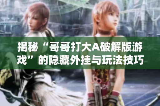 揭秘“哥哥打大A破解版游戏”的隐藏外挂与玩法技巧分析