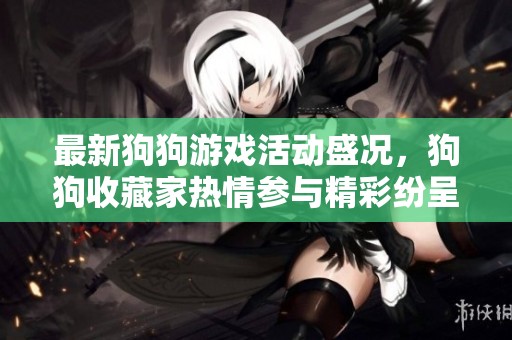 最新狗狗游戏活动盛况，狗狗收藏家热情参与精彩纷呈