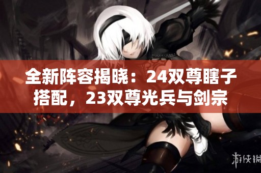 全新阵容揭晓：24双尊瞎子搭配，23双尊光兵与剑宗，奶尊与宠物之旅