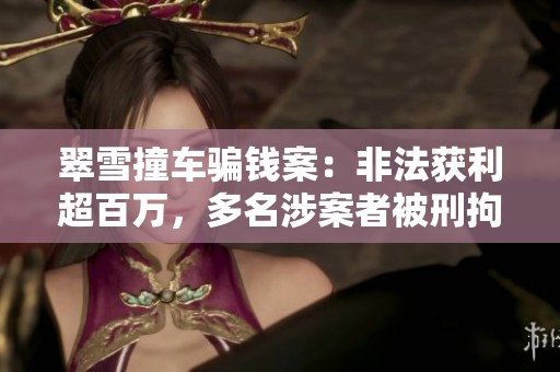 翠雪撞车骗钱案：非法获利超百万，多名涉案者被刑拘