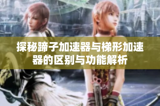 探秘蹄子加速器与梯形加速器的区别与功能解析