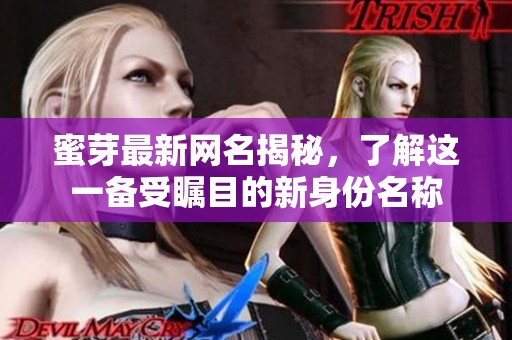 蜜芽最新网名揭秘，了解这一备受瞩目的新身份名称