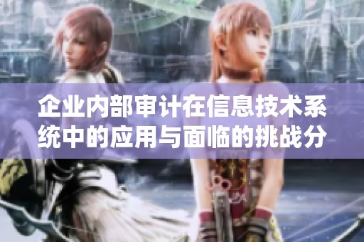 企业内部审计在信息技术系统中的应用与面临的挑战分析