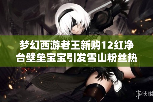 梦幻西游老王新购12红净台壁垒宝宝引发雪山粉丝热议