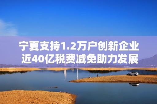 宁夏支持1.2万户创新企业 近40亿税费减免助力发展