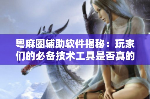 粤麻圈辅助软件揭秘：玩家们的必备技术工具是否真的有效？