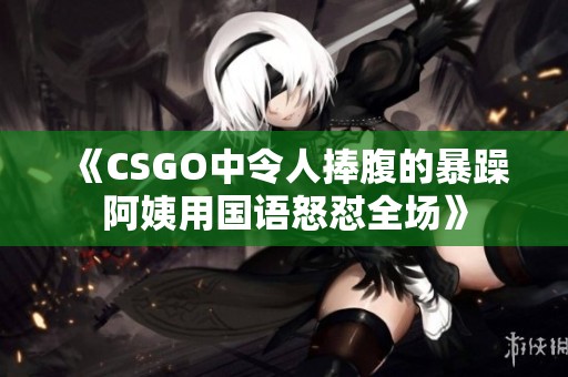 《CSGO中令人捧腹的暴躁阿姨用国语怒怼全场》