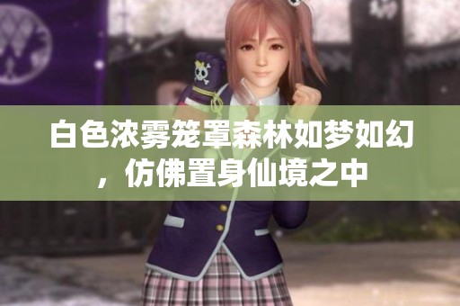 白色浓雾笼罩森林如梦如幻，仿佛置身仙境之中