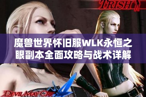 魔兽世界怀旧服WLK永恒之眼副本全面攻略与战术详解
