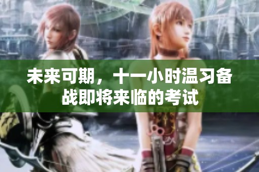 未来可期，十一小时温习备战即将来临的考试