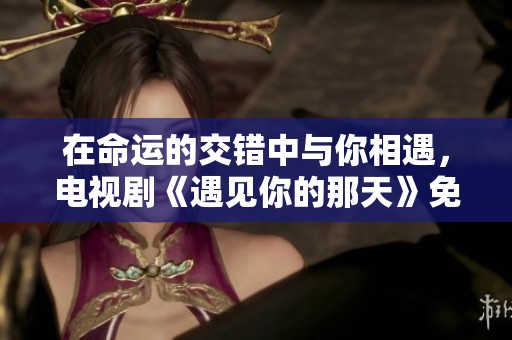 在命运的交错中与你相遇，电视剧《遇见你的那天》免费在线观看