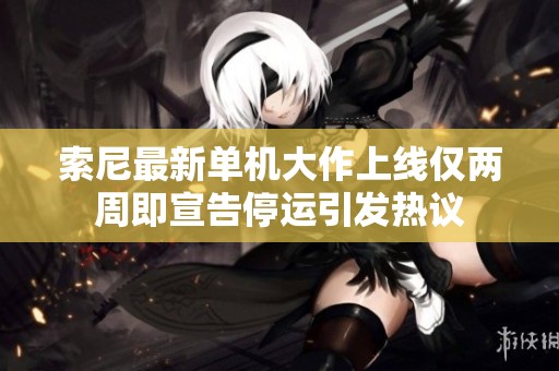 索尼最新单机大作上线仅两周即宣告停运引发热议