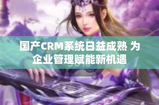国产CRM系统日益成熟 为企业管理赋能新机遇