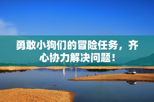 勇敢小狗们的冒险任务，齐心协力解决问题！