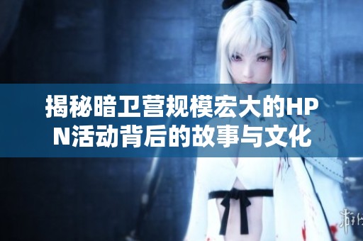 揭秘暗卫营规模宏大的HPN活动背后的故事与文化