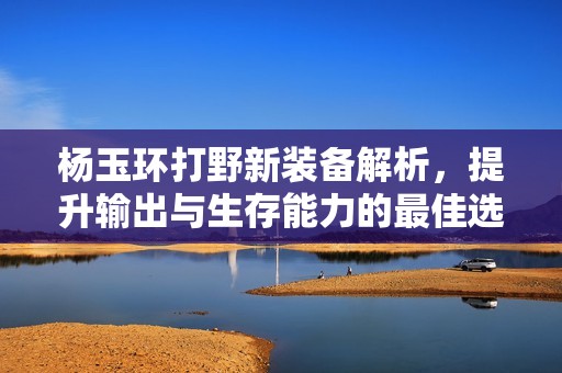 杨玉环打野新装备解析，提升输出与生存能力的最佳选择