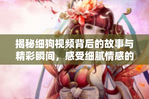 揭秘细狗视频背后的故事与精彩瞬间，感受细腻情感的传达