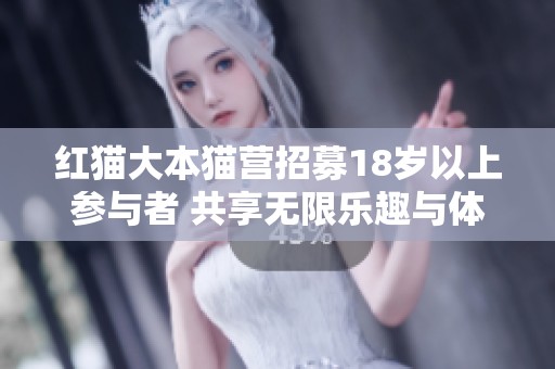 红猫大本猫营招募18岁以上参与者 共享无限乐趣与体验
