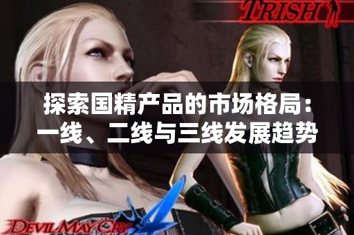 探索国精产品的市场格局：一线、二线与三线发展趋势分析
