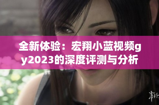 全新体验：宏翔小蓝视频gy2023的深度评测与分析
