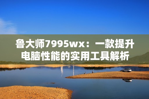 鲁大师7995wx：一款提升电脑性能的实用工具解析