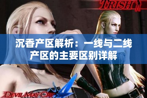 沉香产区解析：一线与二线产区的主要区别详解