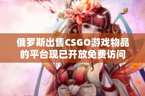 俄罗斯出售CSGO游戏物品的平台现已开放免费访问