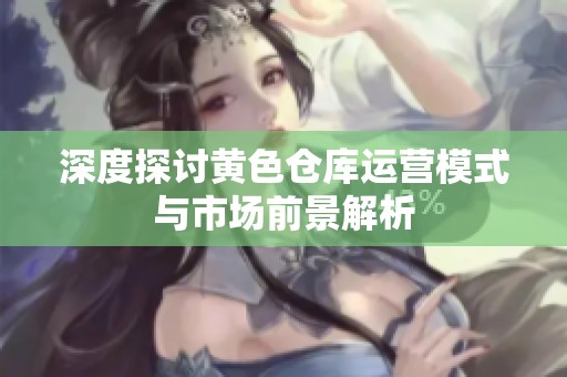 深度探讨黄色仓库运营模式与市场前景解析