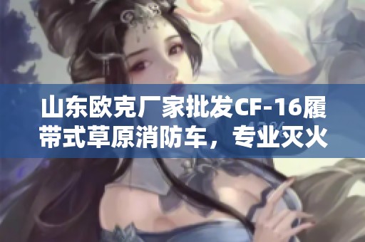 山东欧克厂家批发CF-16履带式草原消防车，专业灭火设备保障安全