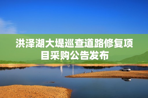 洪泽湖大堤巡查道路修复项目采购公告发布