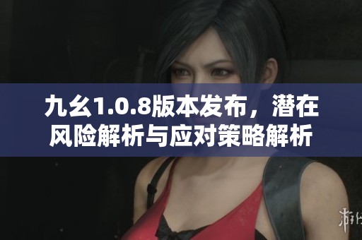 九幺1.0.8版本发布，潜在风险解析与应对策略解析