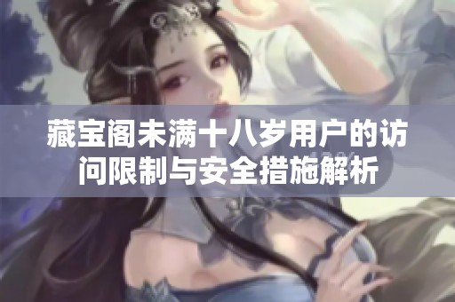 藏宝阁未满十八岁用户的访问限制与安全措施解析