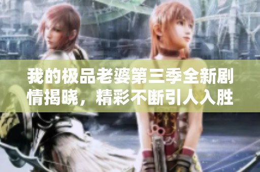 我的极品老婆第三季全新剧情揭晓，精彩不断引人入胜