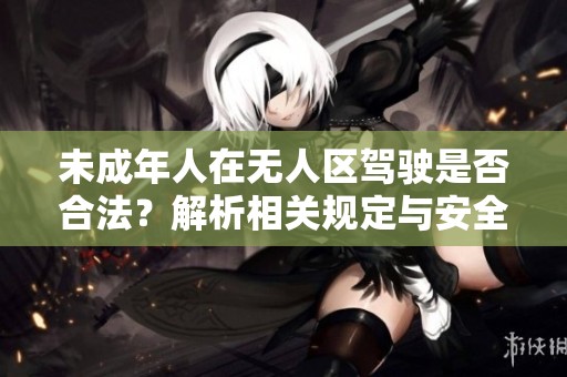 未成年人在无人区驾驶是否合法？解析相关规定与安全隐患