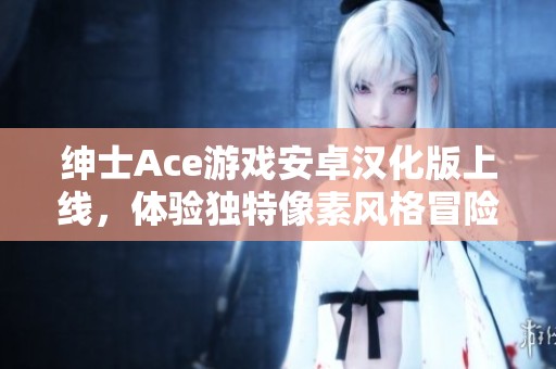 绅士Ace游戏安卓汉化版上线，体验独特像素风格冒险之旅