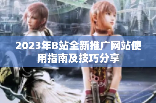 2023年B站全新推广网站使用指南及技巧分享