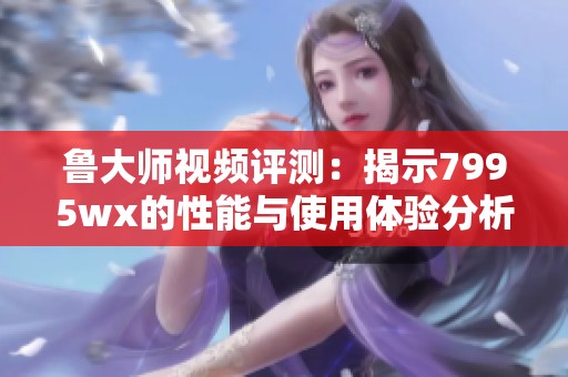 鲁大师视频评测：揭示7995wx的性能与使用体验分析
