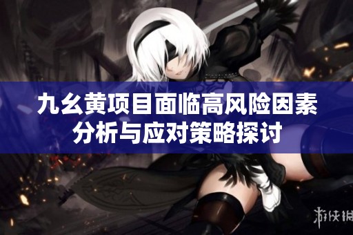九幺黄项目面临高风险因素分析与应对策略探讨