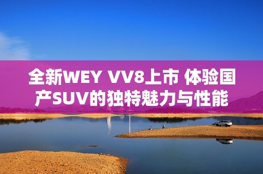 全新WEY VV8上市 体验国产SUV的独特魅力与性能