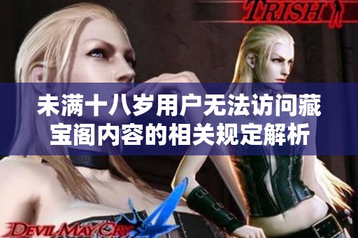 未满十八岁用户无法访问藏宝阁内容的相关规定解析