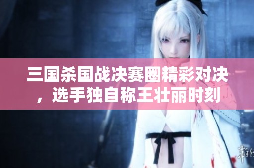 三国杀国战决赛圈精彩对决，选手独自称王壮丽时刻