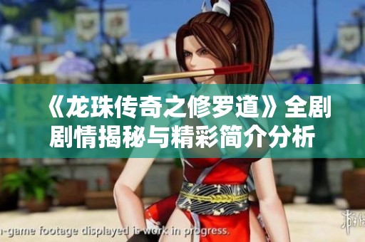 《龙珠传奇之修罗道》全剧剧情揭秘与精彩简介分析