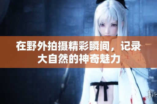 在野外拍摄精彩瞬间，记录大自然的神奇魅力