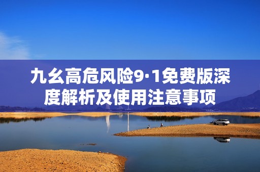 九幺高危风险9·1免费版深度解析及使用注意事项